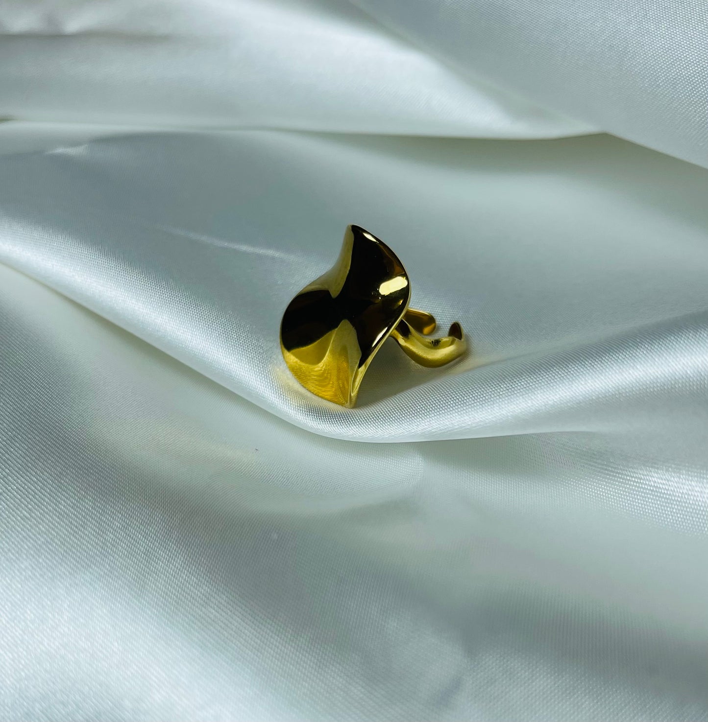 Anel Aurum