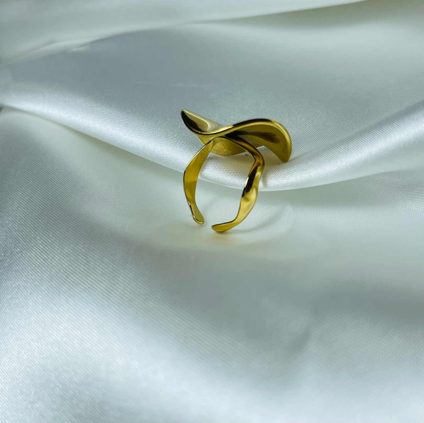 Anel Aurum